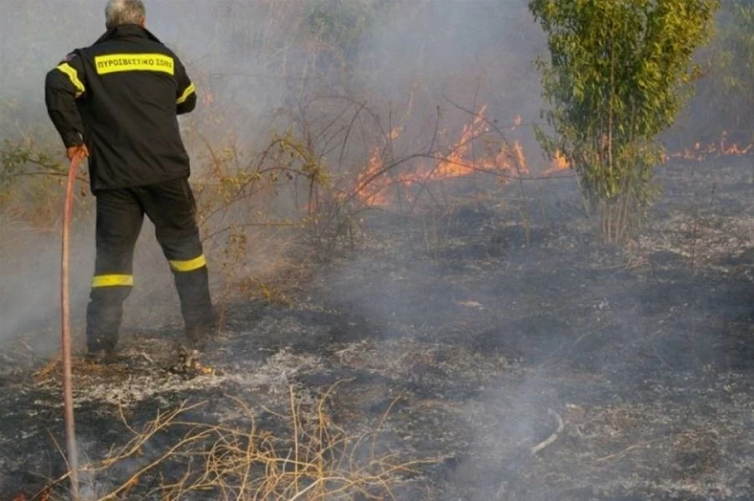 Υπό έλεγχο οι πυρκαγιές σε Κιάτο και Λευκοχώρι